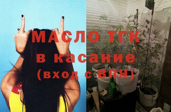 сатива Беломорск