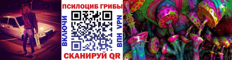 где купить наркоту  Бутурлиновка  Псилоцибиновые грибы мицелий 
